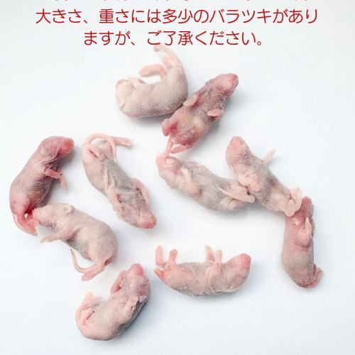 冷凍マウス 冷凍ピンクマウスM(10匹入)の販売情報イメージ1